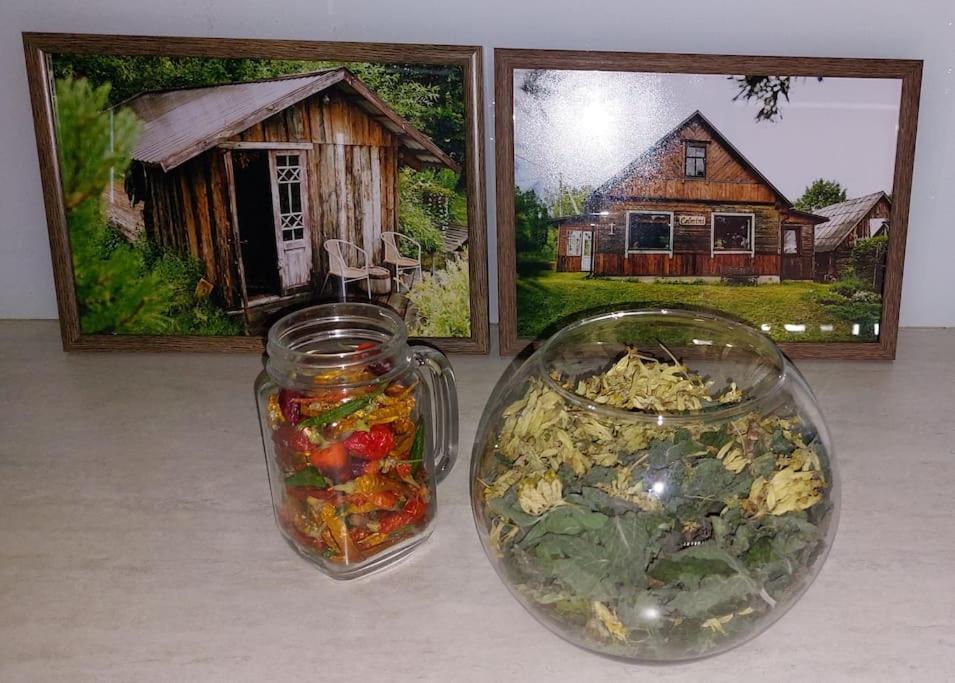 Spicy Studio In Art Nouveau District, Culture Trip Ρίγα Εξωτερικό φωτογραφία